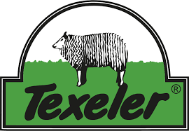 Texeler Logo Kussens